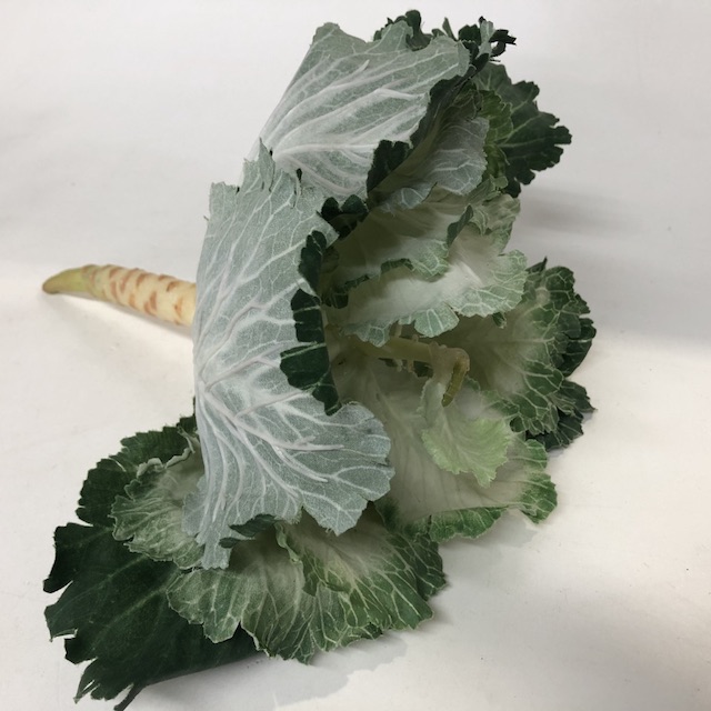 VEG, Kale